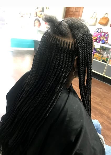 Hair Braiding Style 6