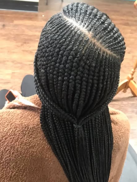 Hair Braiding Style 6